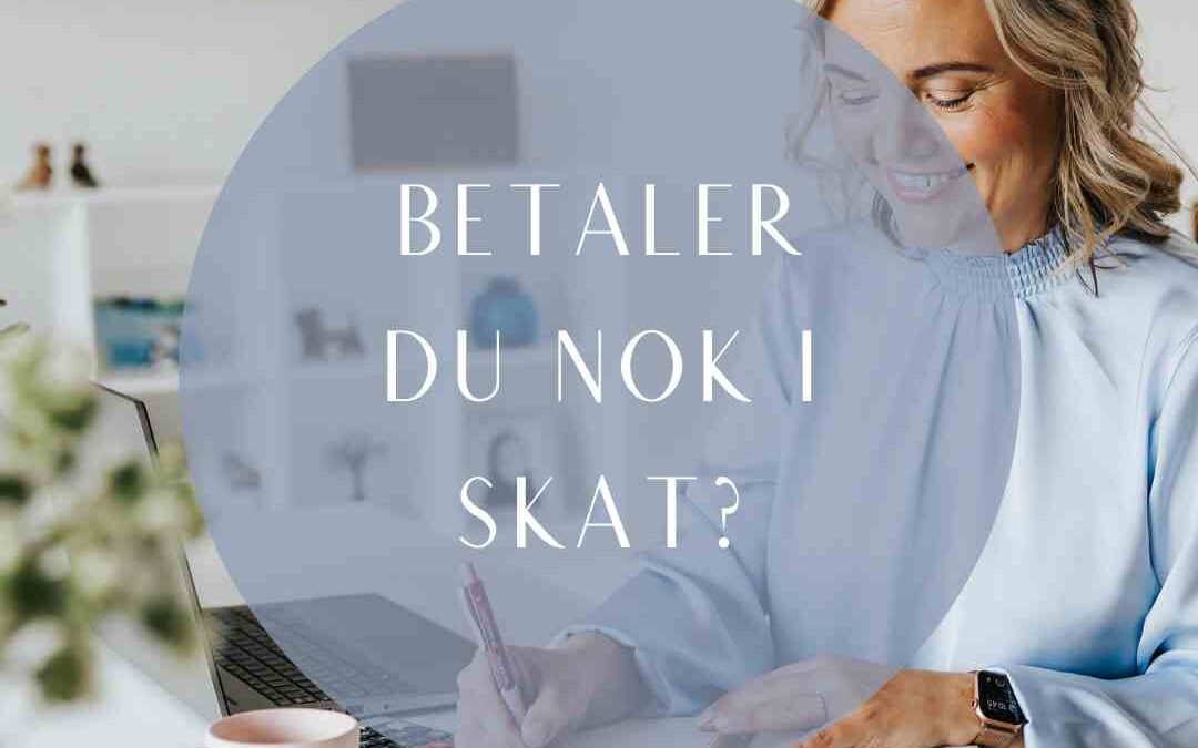 Betaler Du Nok I Skat Dorte Rønne 